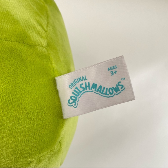 Wendy the Frog Squishmallow - Picture 5 of 5